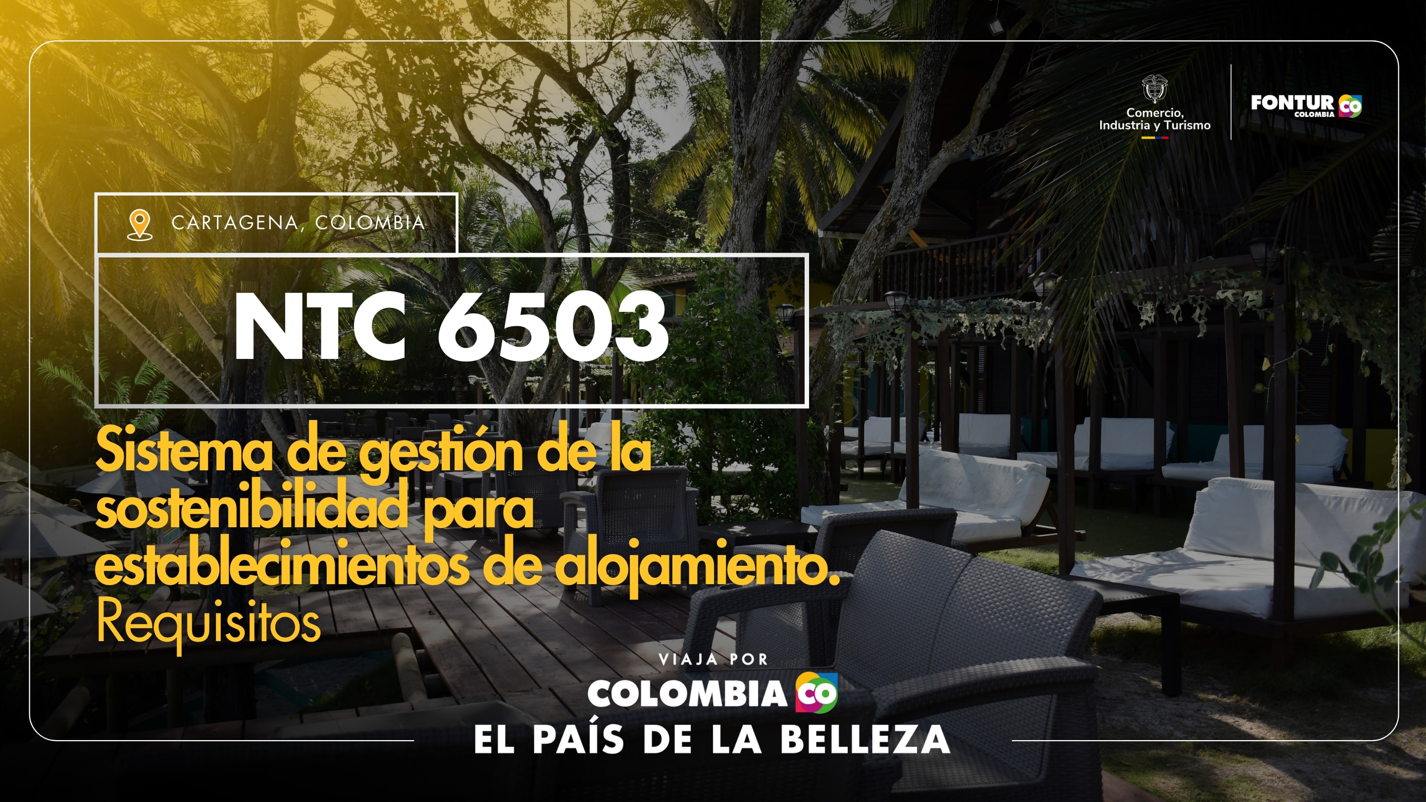 NTC_6503