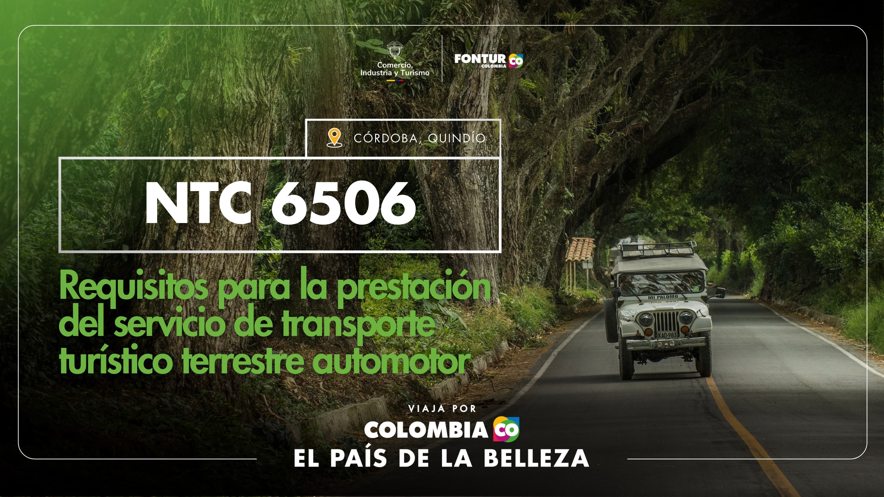 NTC_6506